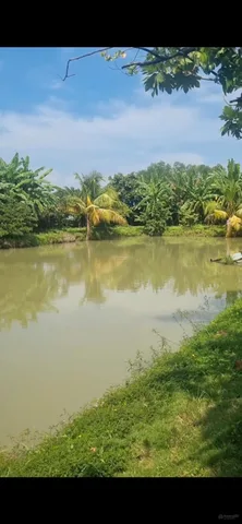 Bán đất 4546m² ngang 40m giá 100 tỷ tại Đường Rạch Ông Đồ Xã Bình Chánh