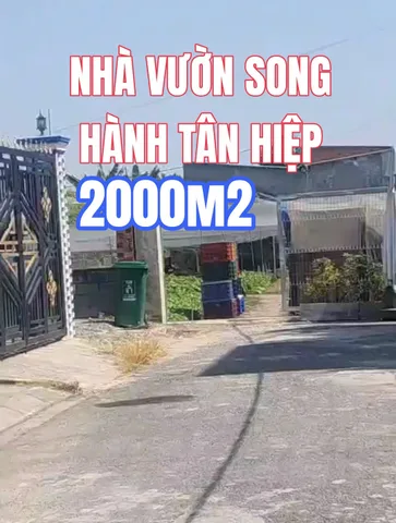 🟥Bán đất làm kho xưởng hơn 2000 m² Tân Hiệp ngang 70x30m giá 26 tỷ tại Đường Song Hành Xã Hóc Môn