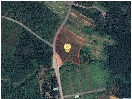 Bán đất 9379.9m² ngang 110m giá 42 tỷ tại Xã Xuân Thành