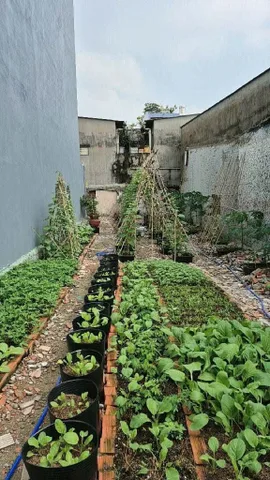 Bán 100m2 (5mx20m) Đất Thổ Cư Ngay Lê Trọng Tấn Gần Aeon Tân Phú - HXH Thông - SHR Nhỉnh 7 Tỷ TL Mạnh