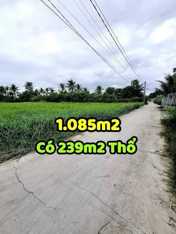 2️⃣ 💥 Đất RỘNG hiếm có tại Sơn Trạch | 1.100m² – 239m² thổ cư | Gần Ủy Ban, Trường Học