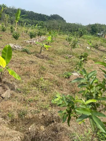 Bán đất 1142.1m² ngang 22m giá 1.2 tỷ tại Xã Phước Thành