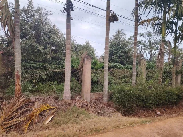 Bán đất 199.6m² có sẵn 60m² thổ cư ngang 5m giá 395 triệu tại Phường Cư Bao