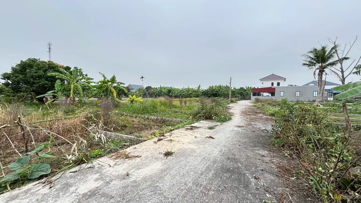 03/2026.Bán đất 68m² full thổ cư ngang 4,05m giá 610 triệu tại Xã An Trường. Bát Trang. liên hệ 0362558882