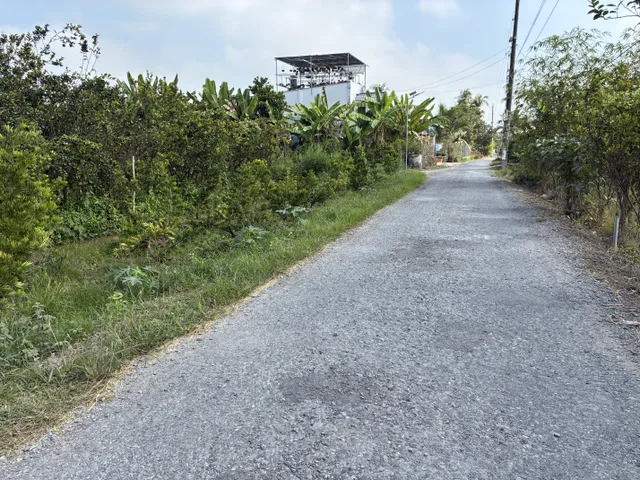 Bán đất 585m² có sẵn 200m² thổ cư ngang 9.55m giá 1.55 tỷ tại Đường Xã Long Phước Xã Long Hồ
