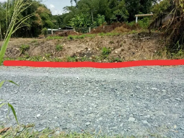 Bán đất đường xe Tải 1/ Bến Đình xã An Nhơn Tây Củ Chi TPHCM, DT: 19,5x24m.