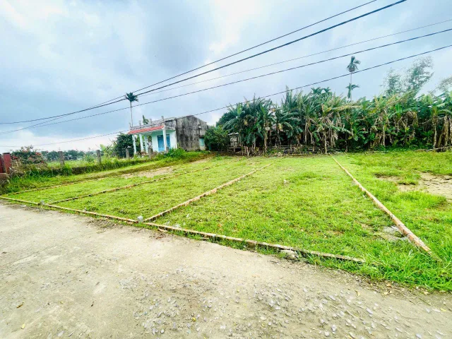 🏠🏠 Bán cặp lô Điện Bàn ngang 10m mặt tiền đường quy hoạch 7m chỉ cần trả trước 3xx
   • 5m * 23m  —> 120m2  giá chỉ 6xx
