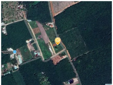 Bán đất 199.5m² có sẵn 100m² thổ cư ngang 5m tại Xã Phước Thành