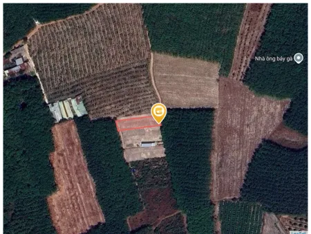 Bán đất 979.2m² có sẵn 150m² thổ cư ngang 15,1m giá 1.45 tỷ tại Xã Trừ Văn Thố