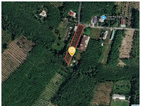 Bán đất 2620.5m² có sẵn 200m² thổ cư ngang 15m giá 1.73 tỷ tại Xã Bàu Bàng