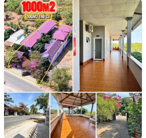 Bán homestay 1000m2 đường 715 Hàm Tiến, gồm 20p kinh doanh. Giá 12 tỷ. Lvcc 0982482666
