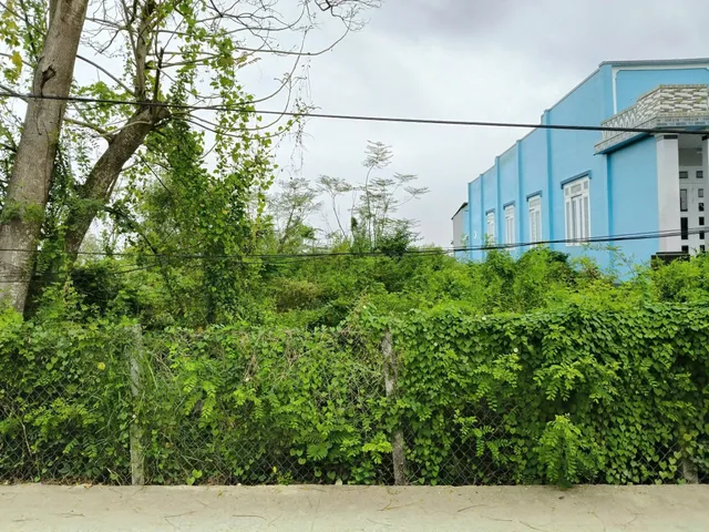 Bán đất 512.7m² có sẵn 435m² thổ cư ngang 16,8 x 30m giá 6.7 tỷ tại Xã An Thới Đông