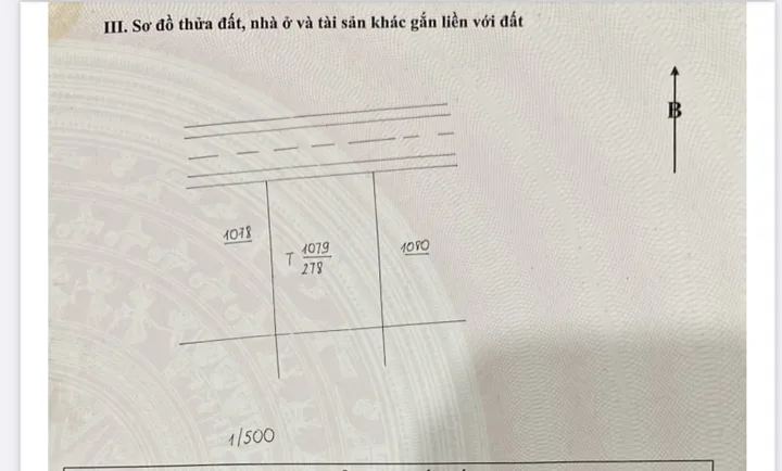 Bán 280m vuông (14x20) mặt tiền đường Phạm Hồng Thái, Di Linh- Lâm Đồng