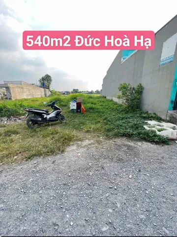 Bán đất 300.3m² có sẵn 300m² thổ cư ngang 11m giá 2.9 tỷ tại Xã Đức Hòa