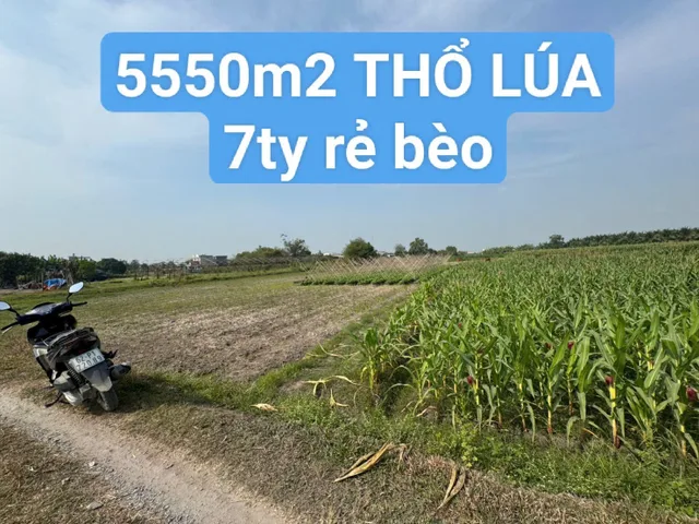 Bán đất 2391.4m² có sẵn 1500m² thổ cư ngang 100m giá 7 tỷ tại Xã Đức Lập