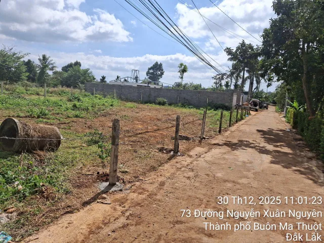 Bán đất 502.9m² có sẵn 80m² thổ cư ngang 15m giá 6.5 tỷ tại Phường Tân An