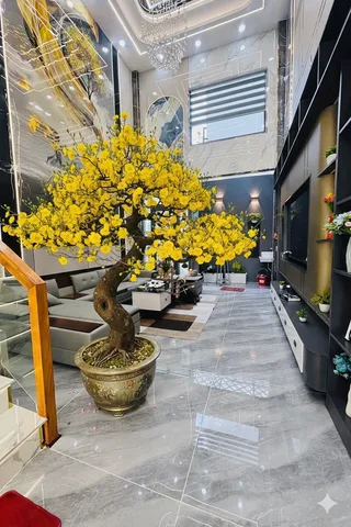 Bán nhà Thạnh Xuân 25 Quận 12 – DT; 4x18.5m Nhà mới xây 5 tầng, ở ngay, nội thất đầy đủ