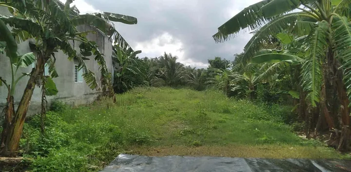 0938113403 Bán đất 536.5m² ngang 10m giá 3 tỷ tại Xã Bắc Ninh Hòa Z319