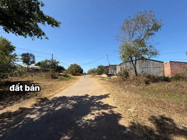 Bán đất 313.2m² có sẵn 60m² thổ cư ngang 6m giá 199 triệu tại Xã Cư Pơng