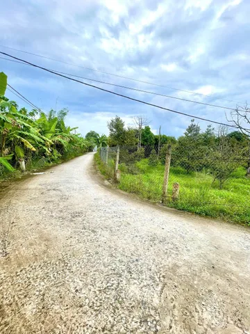 💚💚💚 CÒN 04 NỀN LIỀN KỀ CẠNH ĐẠI HỌC NAM CẦN THƠ 4,2X18,5M, LỘ 4M, THỔ CƯ FULL GIÁ 1 TỶ 50TR.