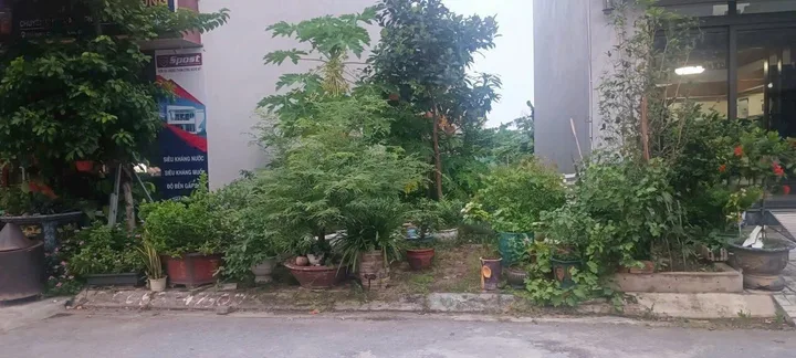 06/02/2026.Bán đất 96m² full thổ cư ngang 6m giá 7.75 tỷ tại Phường Thủy Nguyên.   Dương Quan. liên hệ 0362558882