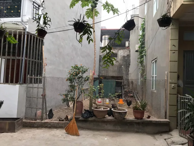 🔥 NHỈNH 5 TỶ – 50m² – MẶT TIỀN 5 M – LIÊN MẠC, BẮC TỪ LIÊM
🛣️ Ngõ ba gác | 🏗️ Xung quanh xây 4–5 tầng | 📈 Tiềm năng tăng giá rõ rệt