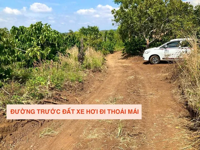 Bán đất 1011.9m² ngang 12m giá 220 triệu tại Xã Ea Kiết