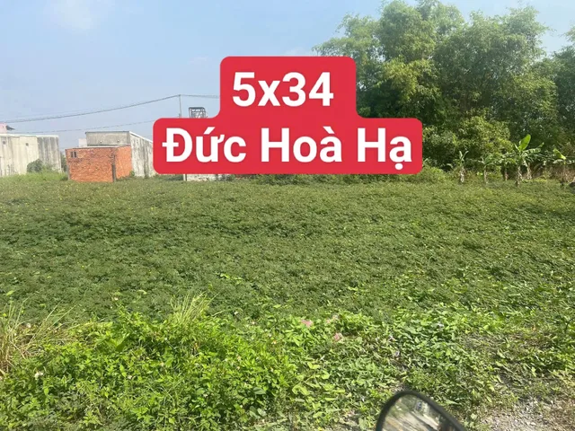 Bán đất 1607.5m² có sẵn 340m² thổ cư ngang 10m giá 1.35 tỷ tại Xã Đức Hòa