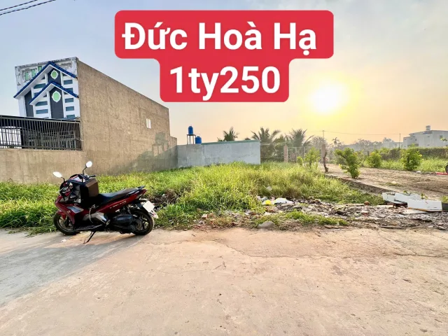 Bán đất 1165.6m² có sẵn 116m² thổ cư ngang 5m giá 1.25 tỷ tại Xã Đức Hòa