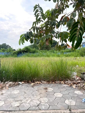 Bán đất 79m² ngang 5m giá 1.65 tỷ tại Xã Mỹ Hạnh