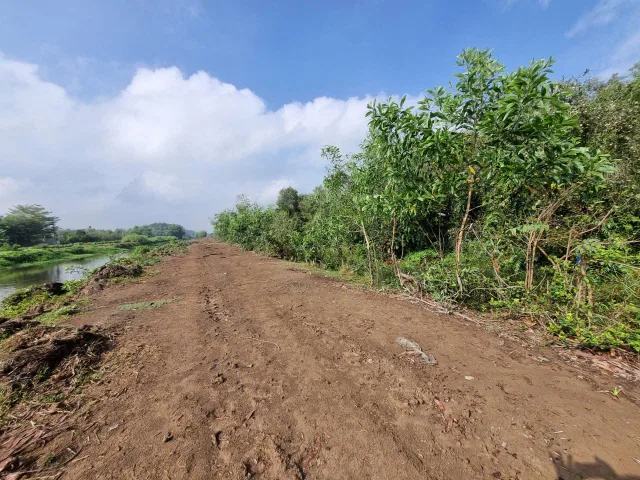 (L907) Đất Lúa mặt Kênh 15, xã Tân An Hội, dt 4.698m2, giá  800k/m2 thương lượng