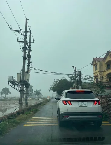 🚘 ĐẤT SONG LIỄU - Ô TÔ VÀO TẬN CỬA - GIÁ "HẠT DẺ" CHO CÔNG NHÂN & NHÀ ĐẦU TƯ F0