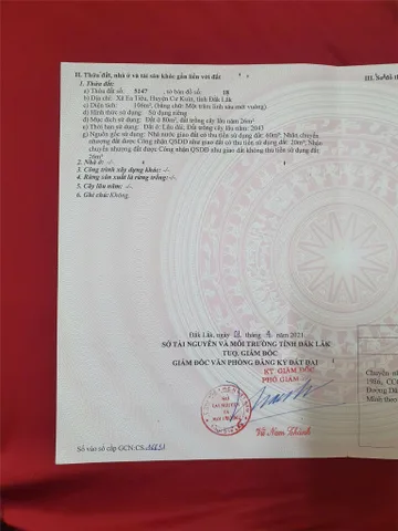 ĐẤT ĐẸP – GIÁ TỐT  – CHÍNH CHỦ CẦN BÁN Tại Đường Bê Tông, Xã Ea Tiêu, Cư Kuin, Đắk Lắk