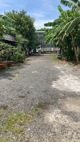 Bán đất 1500m² có sẵn 180m² thổ cư ngang 11m giá 17 tỷ tại Đường Xuân Thới Sơn 16 Xã Xuân Thới Sơn Ms323 Ngưng bán