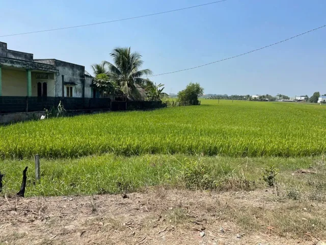 Bán đất 1392m² có sẵn 480m² thổ cư ngang 10m giá 2.55 tỷ tại Xã Mỹ Hạnh