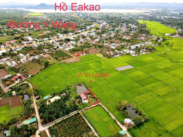Đây view cánh đồng đường oto đi thoải mái diện tích 340m 10m2 giá 2ty250
