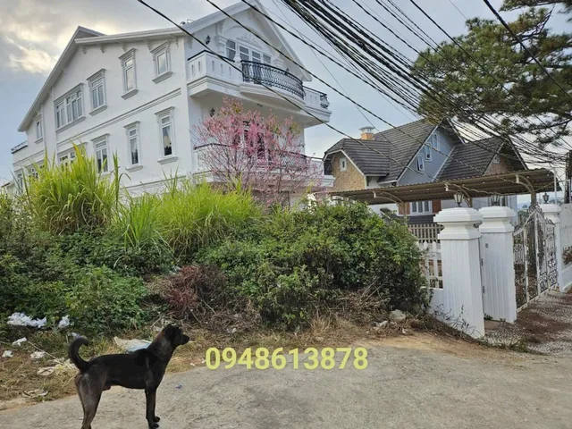 Lô đất Trịnh Hoài Đức- P11 Đà Lạt 649m- xung quanh là các căn villa, khách sạn,.. cách Hồ Xuân Hương 3km