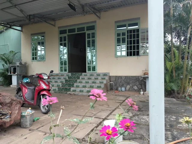 Bán đất chính chủ Hưng Thịnh Trảng Bom, 1250m² (25x50), sổ hồng riêng, giá tốt.