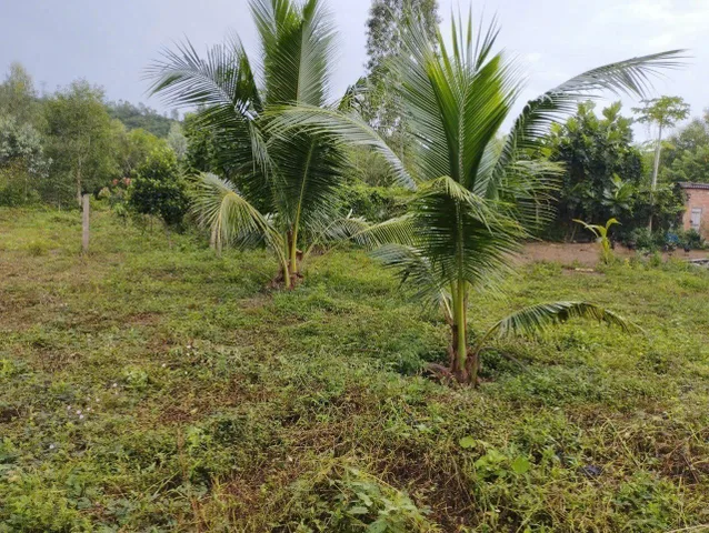 Bán đất Bắc Ninh Hòa 640,3m² nở hậu gần KCN Ninh Sơn, đường bê tông 5m, giá 590 triệu