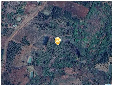 Bán đất 67000m² ngang 420m giá 16 tỷ tại Xã Đắk Mil