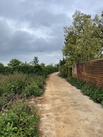 Bán đất 411.8m² ngang 6m Dài 8x , Hướng tây giá 2,5 tỷ thương lượng tại Phường Buôn Hồ