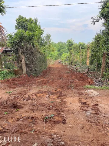 Bán đất 200m² có sẵn 60m² thổ cư ngang 5m giá 155 triệu tại Xã Ea Ning