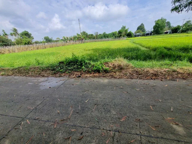 (L913) Đất 1/ Võ Văn Điều, xã Phước Thạnh, dt 1.027m2, thổ cư 100m2, giá 2 tỷ 800 thương lượng