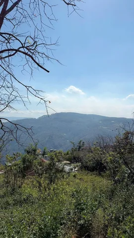 Lô đất nghỉ dưỡng 1000m Xuân Trường- Đà Lạt có 400m thổ cư🔥10 tỷ có view rừng thông giá đầu tư