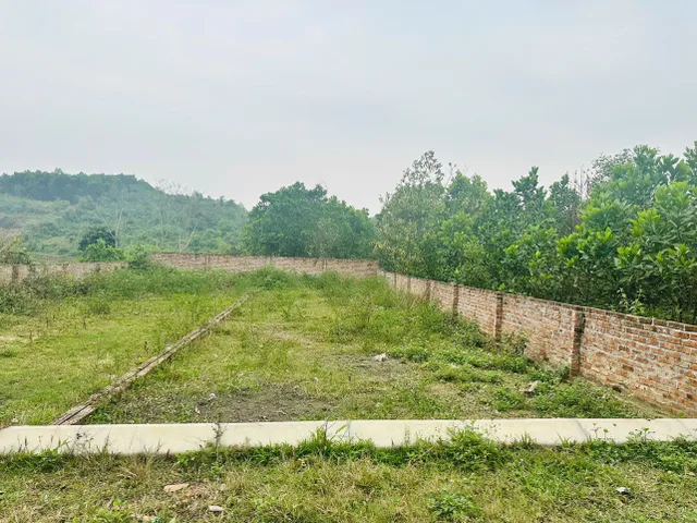Đất ở đô thị tại trung tâm Ba Hàng Đồi 139m2 Full thổ cư giá chỉ 695tr.