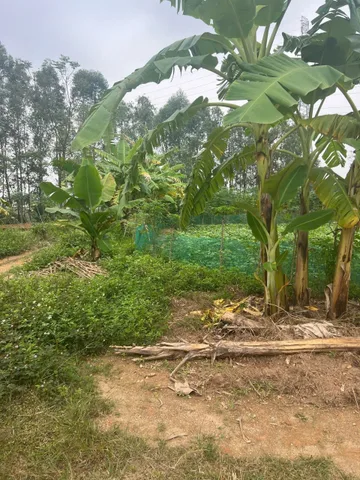 Bán đất 106m² full thổ cư ngang 6m giá 2.4 tỷ tại Phường Vân Phú