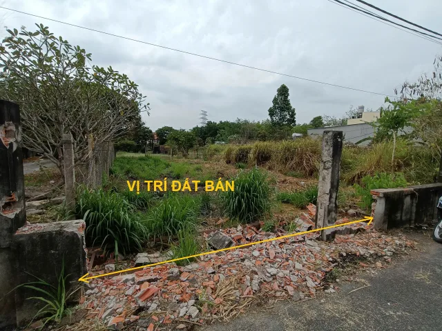 Bán đất mặt tiền đường nhựa LG 12m, Xã Tân Thạnh Tây, Củ Chi, gần Tỉnh Lộ 8, 125m² (5x25m) giá rẻ 1.95 tỷ
