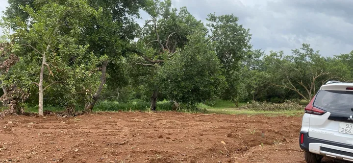 190 triệu sang sổ 1000m² đất mặt tiền đường liên xa 19m . Dân cư hiện hữu