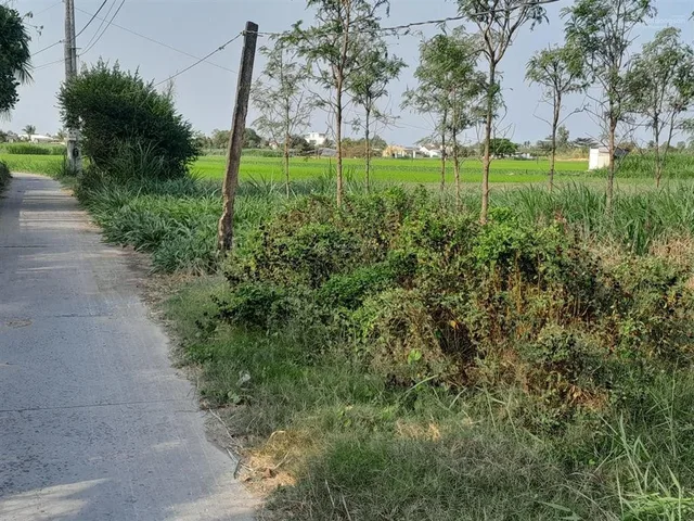 Đất thanh nhung 2, phước trung, gò công đông, tiền giang. 7,5x36m 122m2 thổ, đường xe 7chỗ 380tr tl