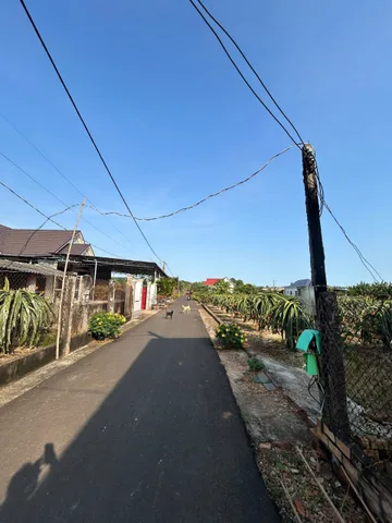 Bán lô đất đẹp có 100m thổ . Đường quốc lộ 55 . Xã Bông Trang: 10 x31